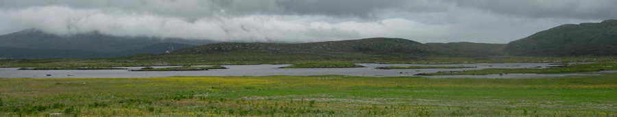 machair